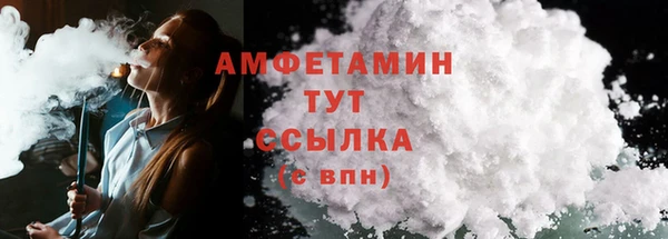 молекула духа Белокуриха