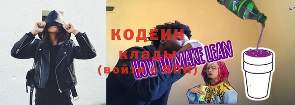 молекула духа Белокуриха