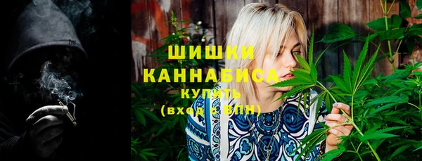 молекула духа Белокуриха