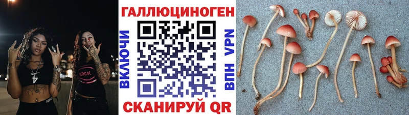 Галлюциногенные грибы Psilocybe МЕГА ONION Горняк купить наркотики сайты
